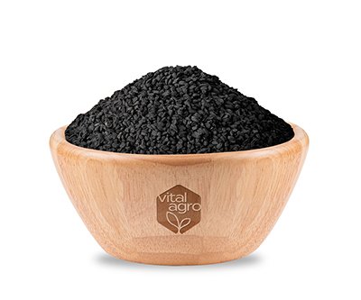 kalonji-seeds-copy
